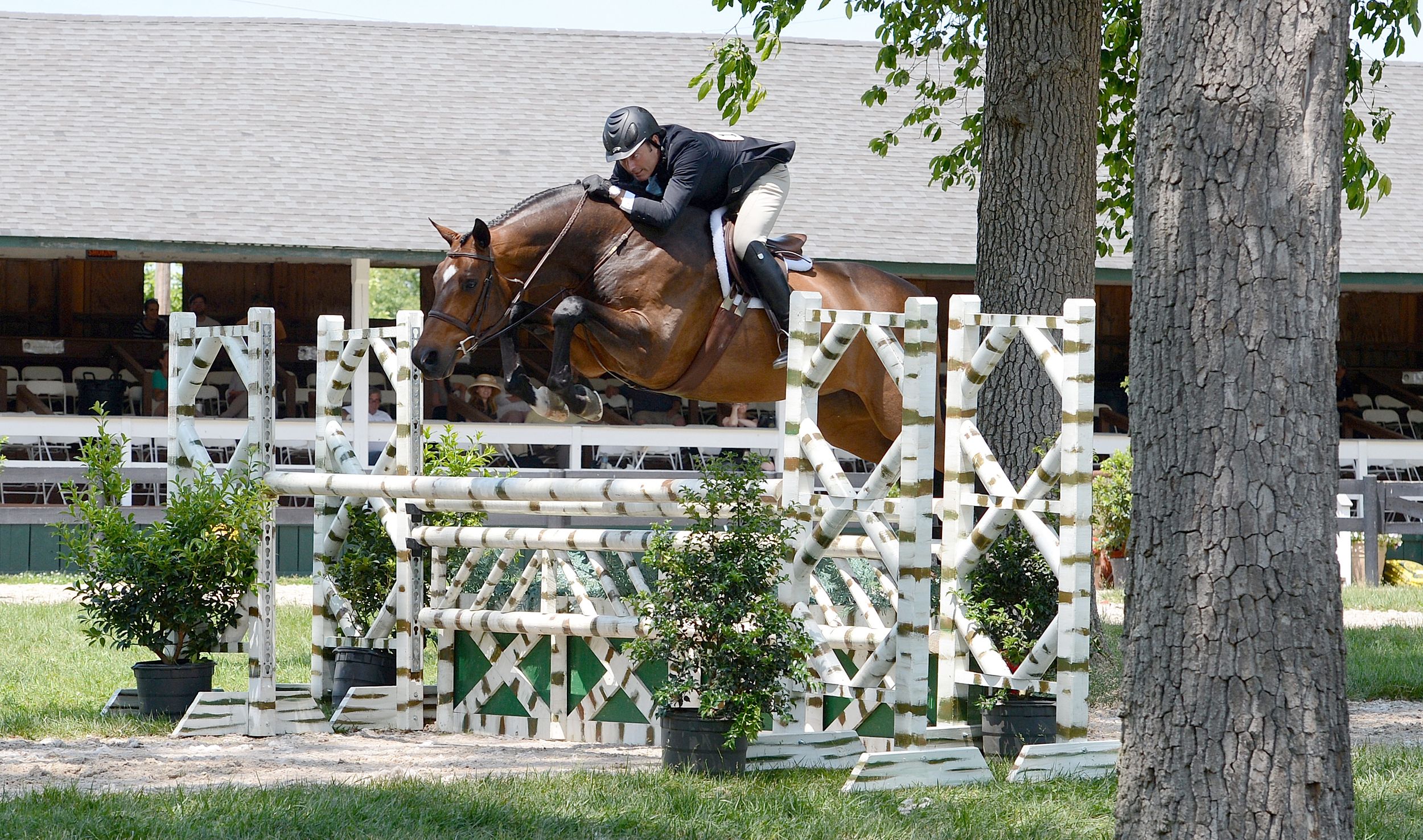 Horse and rider performing a jumping sequence over multiple obstacles during an equestrian competition.