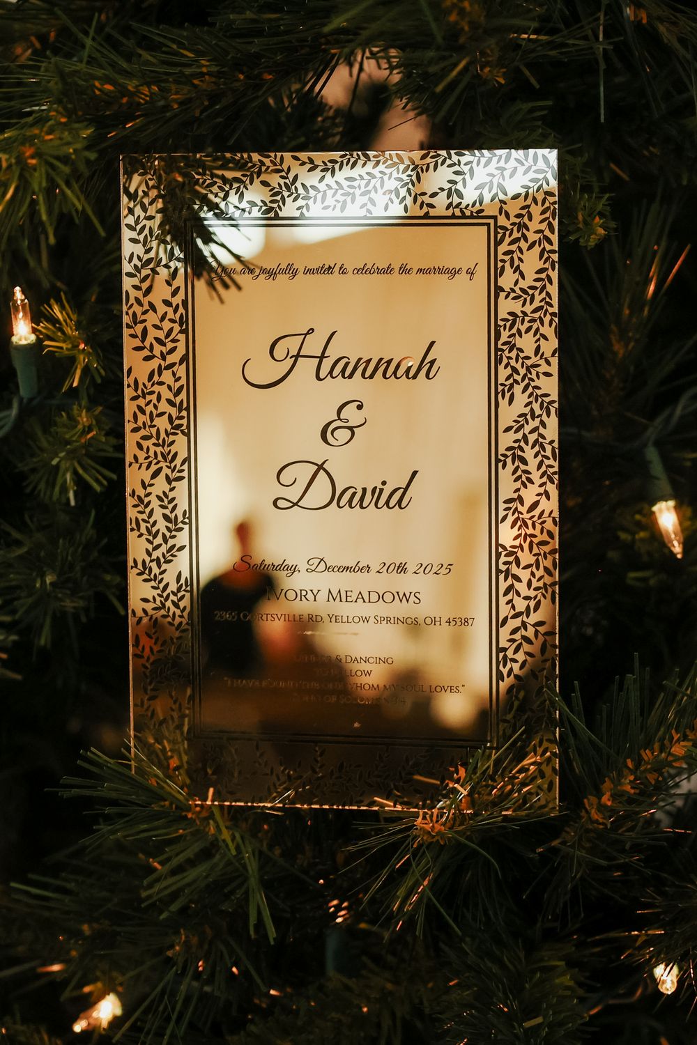 Wedding invitation with ornate border design illuminated among evergreen branches.