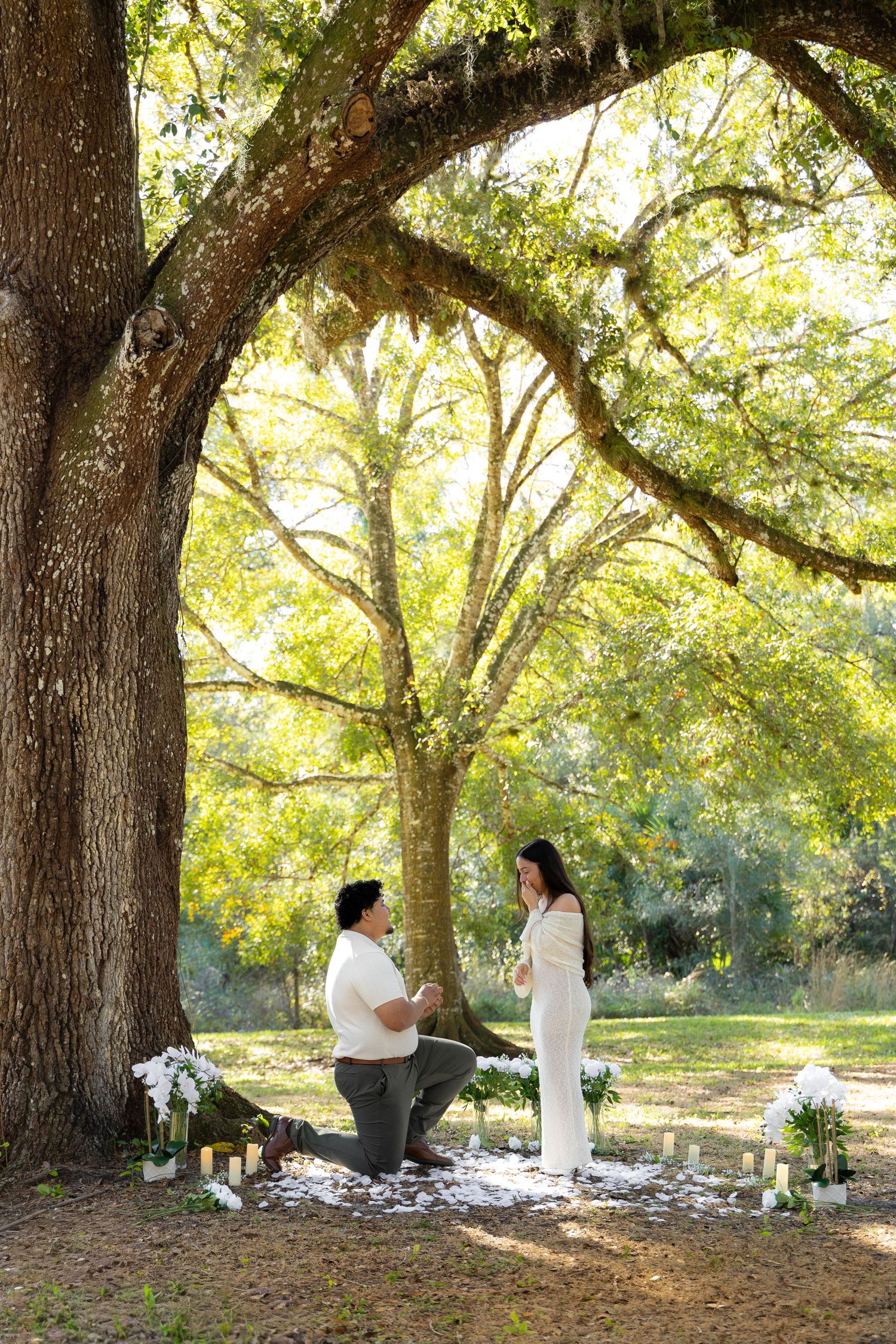 proposal photo