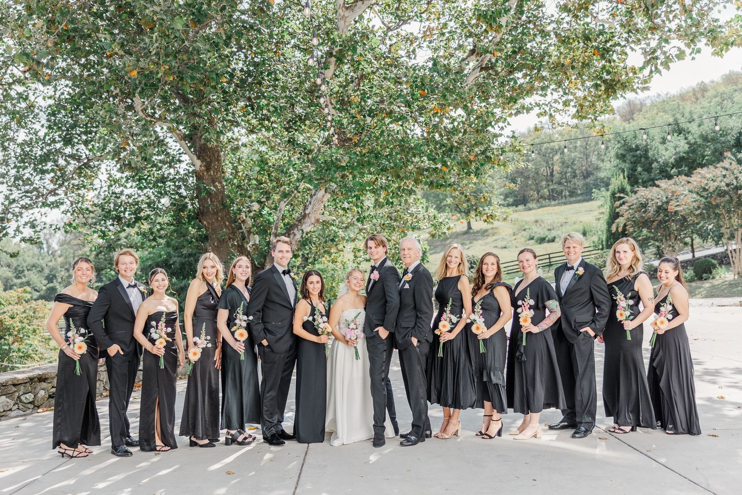 Wedding party in black attire lined up outdoors for formal group photos.
