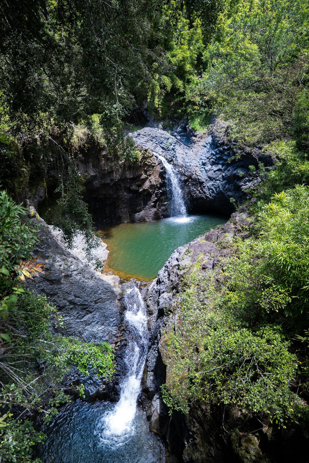 Series of cascading waterfalls flowing into natural pools surrounded by lush tropical vegetation.