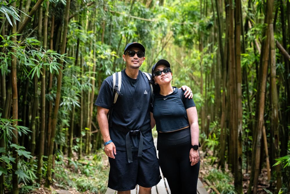 Hiking trail through a dense bamboo forest with filtered sunlight.
