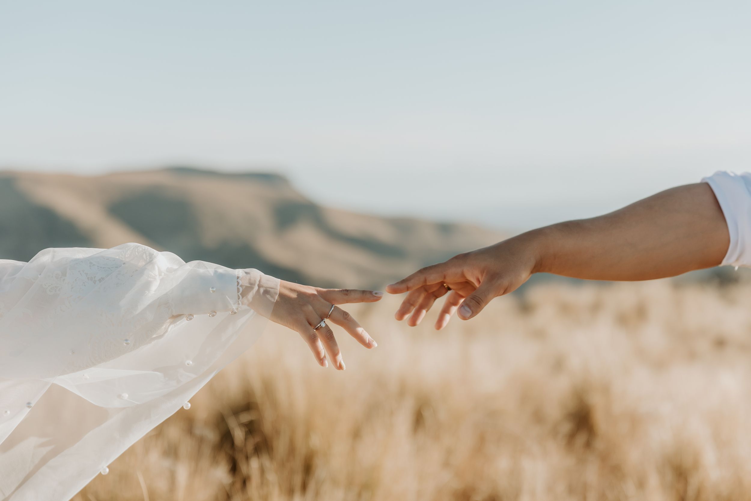 Bride and groom hold hands while walking through a golden wheat field at sunset, Christchurch wedding photographer