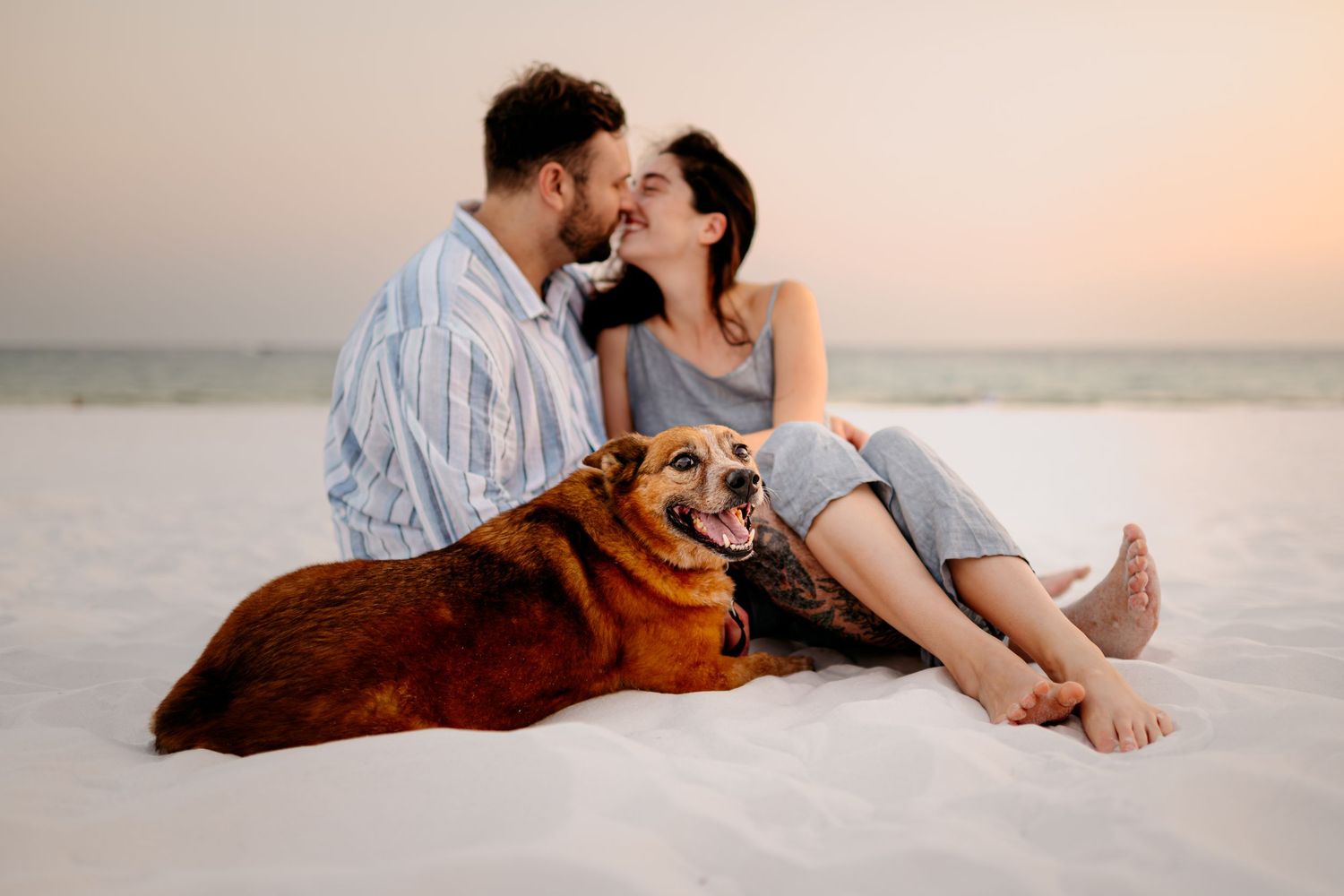 Miramar Beach pet friendly photographer captures sunset photos with dogs and couples. best beaches to bring your dog to on the emerald coast