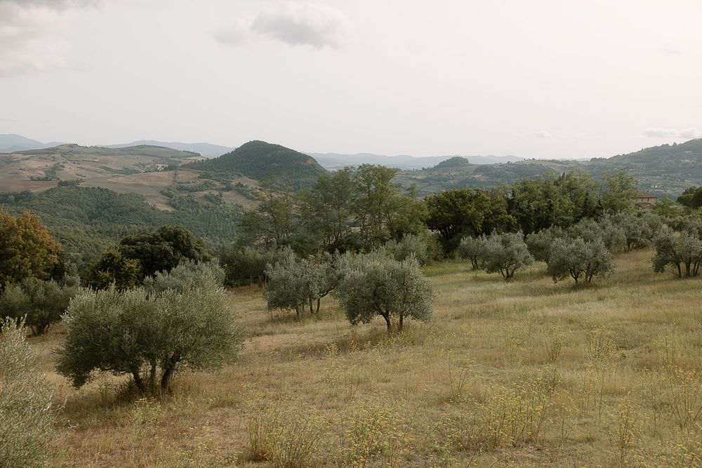Rolling hills and olive trees stretch across a rustic Mediterranean landscape.