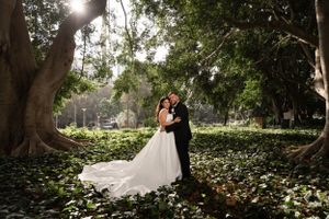 Bride and groom embrace among lush green ivy beneath towering trees in a sunlit garden wedding photo.