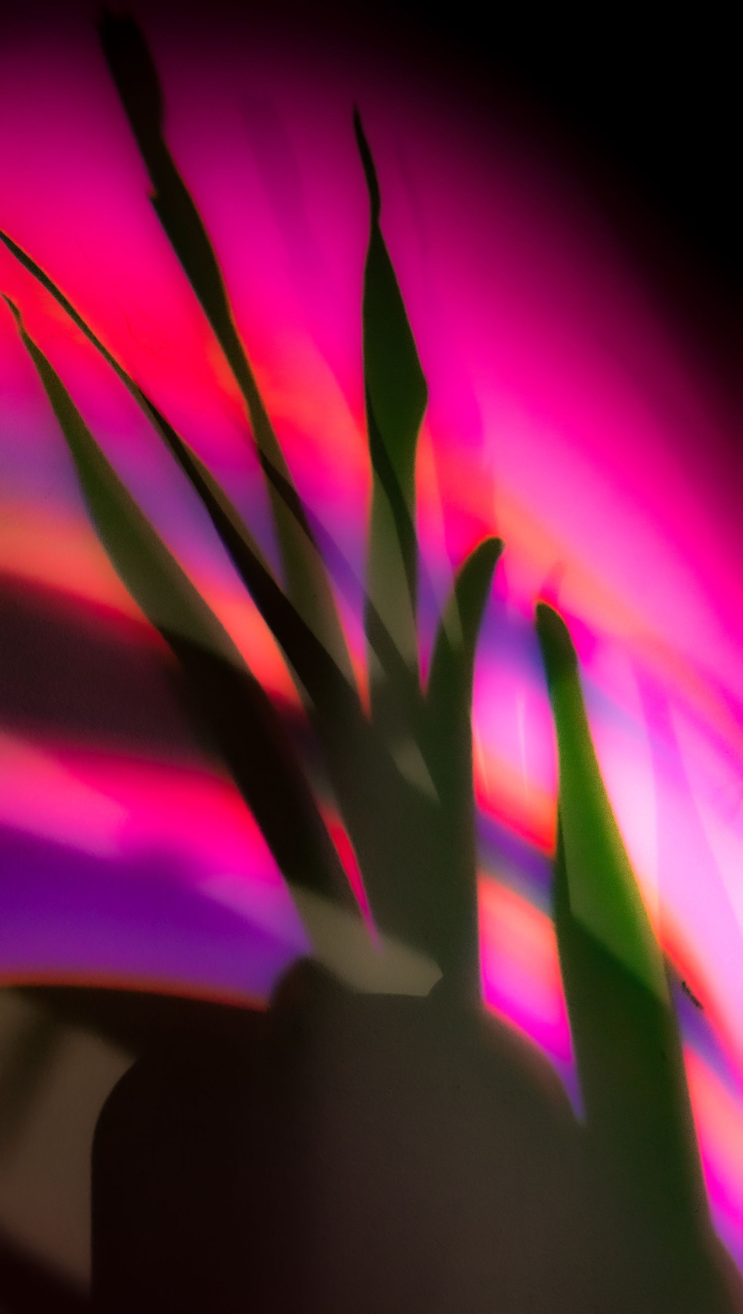 Creative Photographer in Panama City Florida