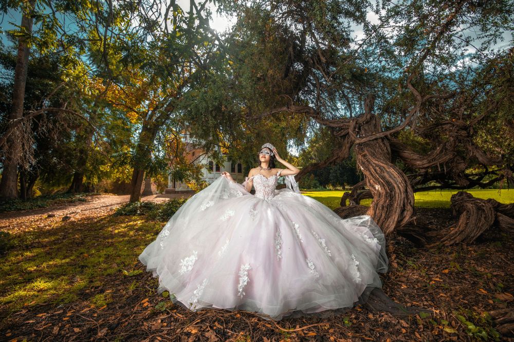 Elegant white ball gown wedding dress showcased in a dreamy forest setting with sunlit trees and moss-covered ground.