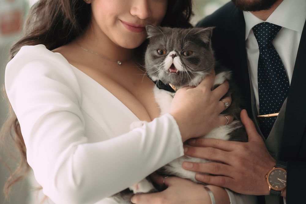 Fotógrafos de bodas en Madrid