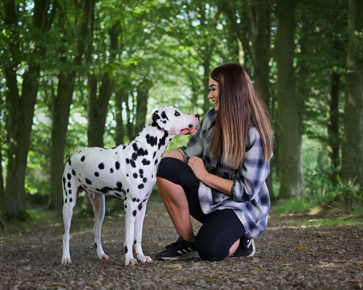 Dalmatian dog and owner relaxing in shaded woodland setting.