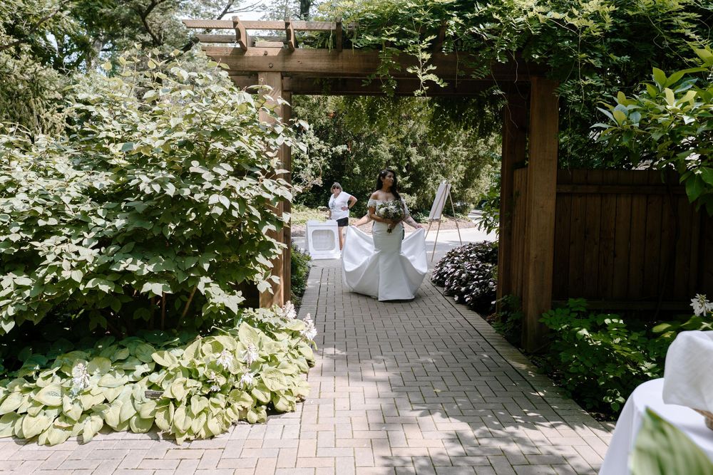A peaceful garden walkway lined with white flowering plants and trees leads to a wooden structure in dappled sunlight.