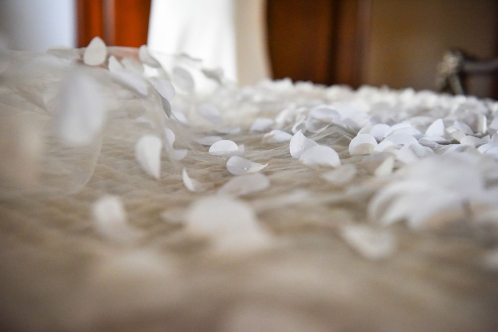 White rose petals scattered across a soft cream-colored surface create a romantic and delicate scene.