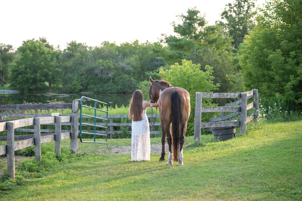 Three scenic views of horses grazing in a fenced pasture surrounded by lush green grass and trees.