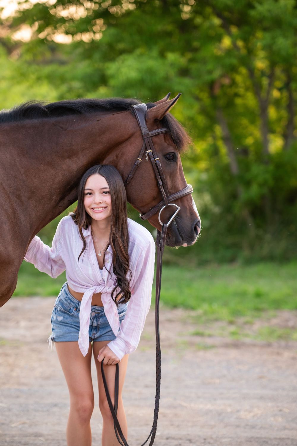 A brown horse stands beside its companion in a green outdoor setting at golden hour.