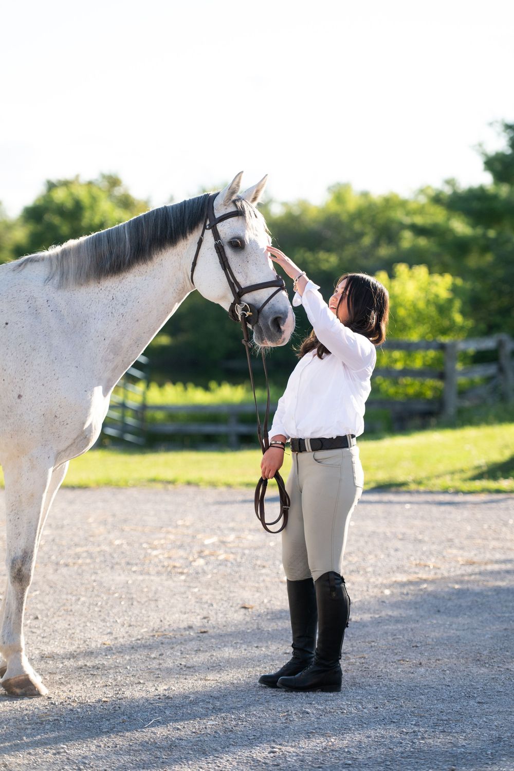 Three sequential photos show someone in equestrian gear bowing respectfully to a white horse in an outdoor arena.