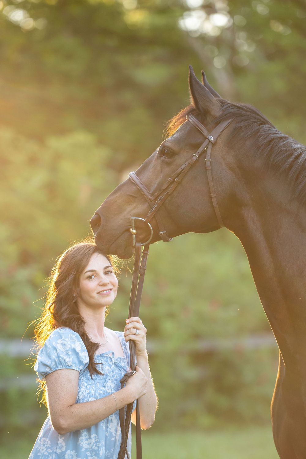 Close-up of a dark horse and someone in a blue dress during a sunny golden hour outdoor photoshoot.