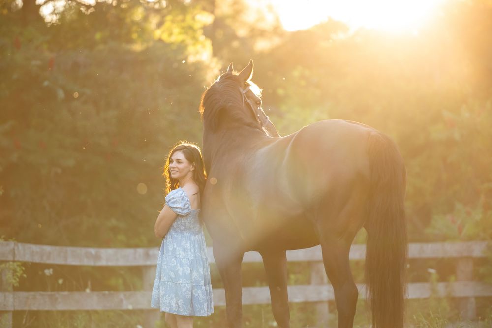 Young girl in a blue dress stands next to black horse in beautiful golden sunset light.