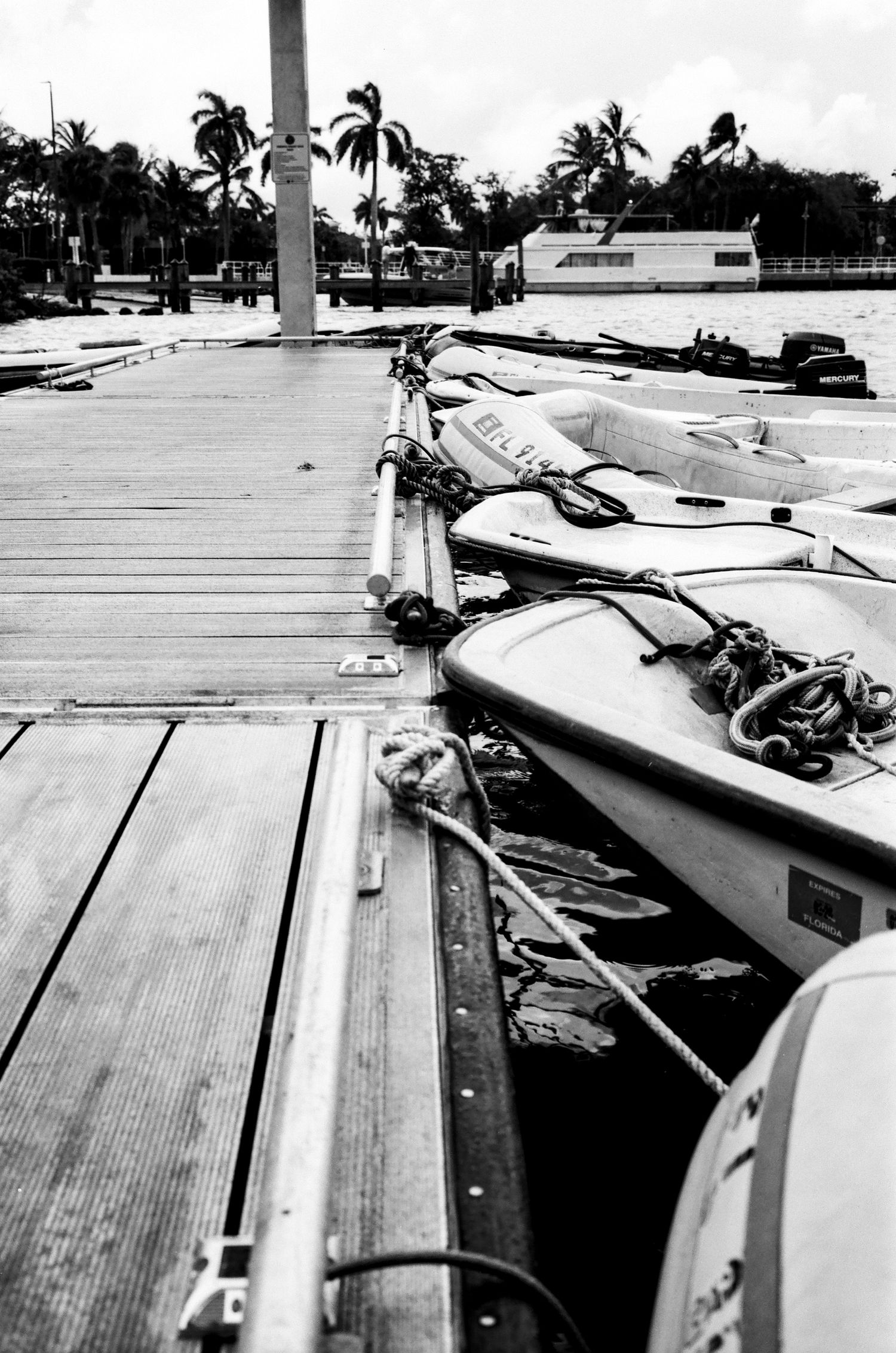Black and white photo sequence showing five close-up shots of surfboards laid on dock with palm trees in background.