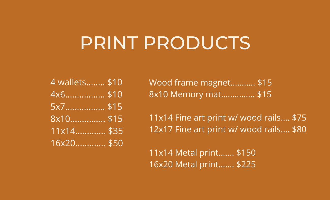 A price list for print products displayed on an orange background.