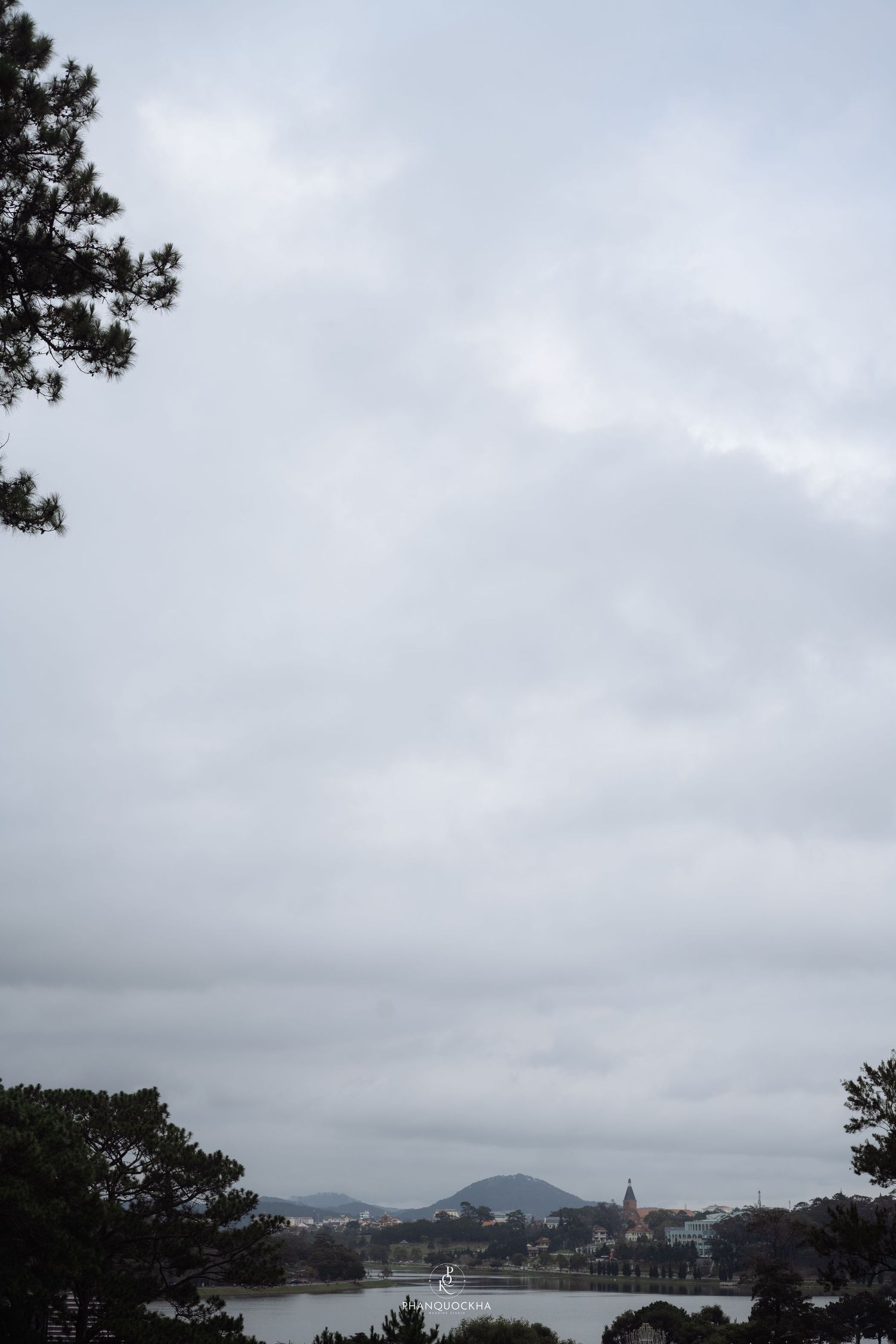 Overcast sky with pine trees framing a distant lake and town landscape on a cloudy day.