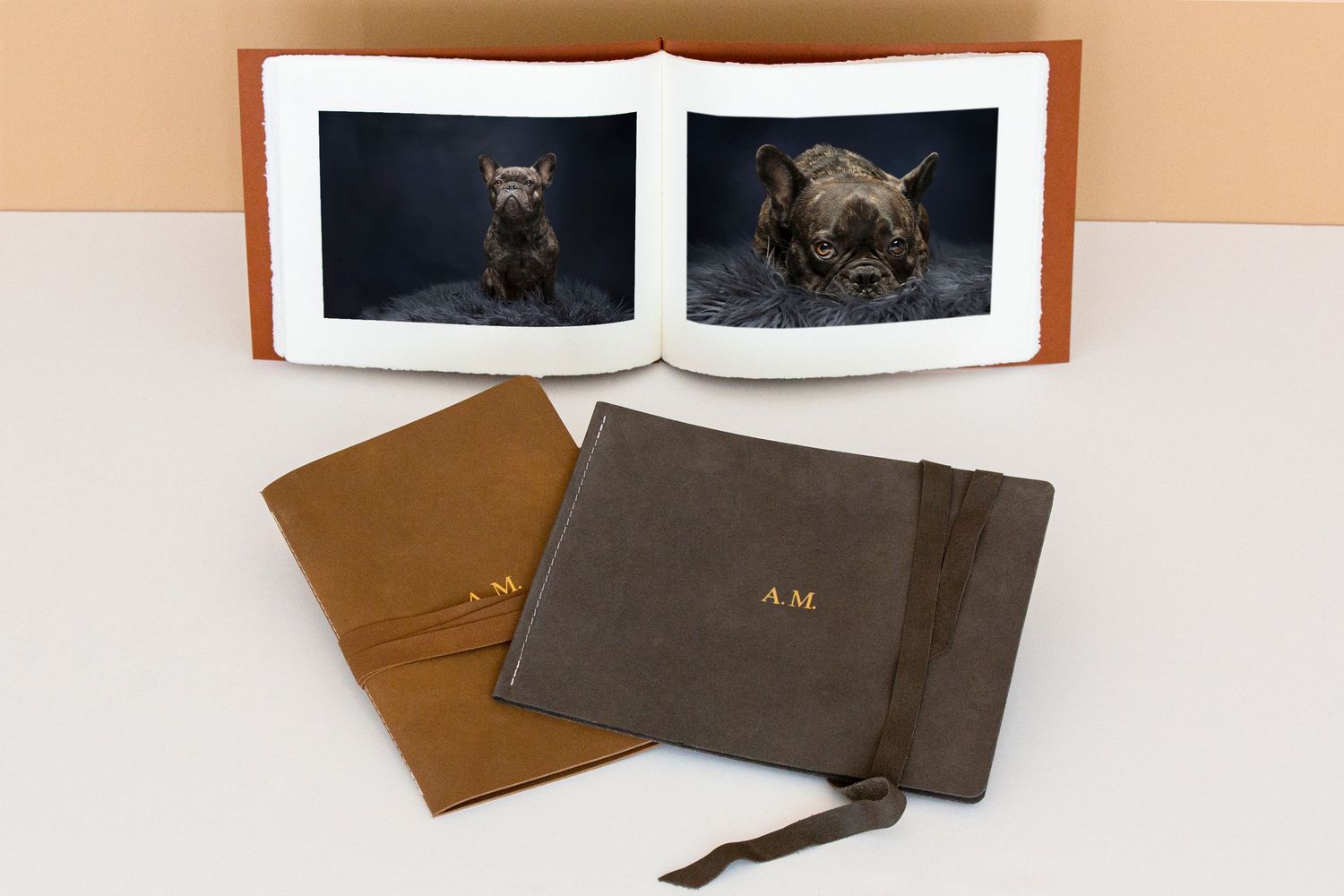 Beautiful storybook showcasing your portraits and bond with your pet by helgazimages, fine art pet photographer in Tampa Bay