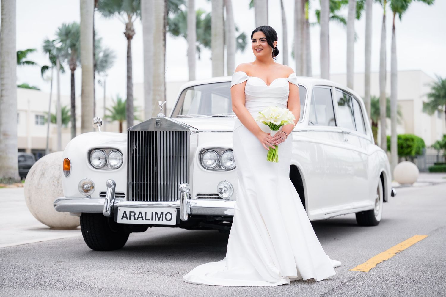 Classic white Rolls Royce wedding car parked along palm tree lined driveway for bridal photos.