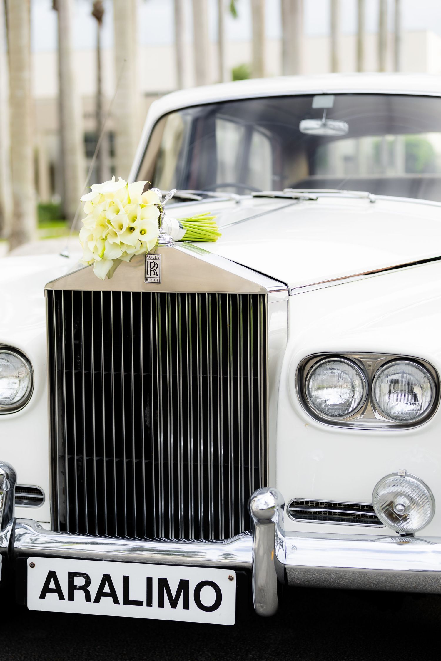 Classic white Rolls Royce limousine adorned with wedding flowers and decorations.