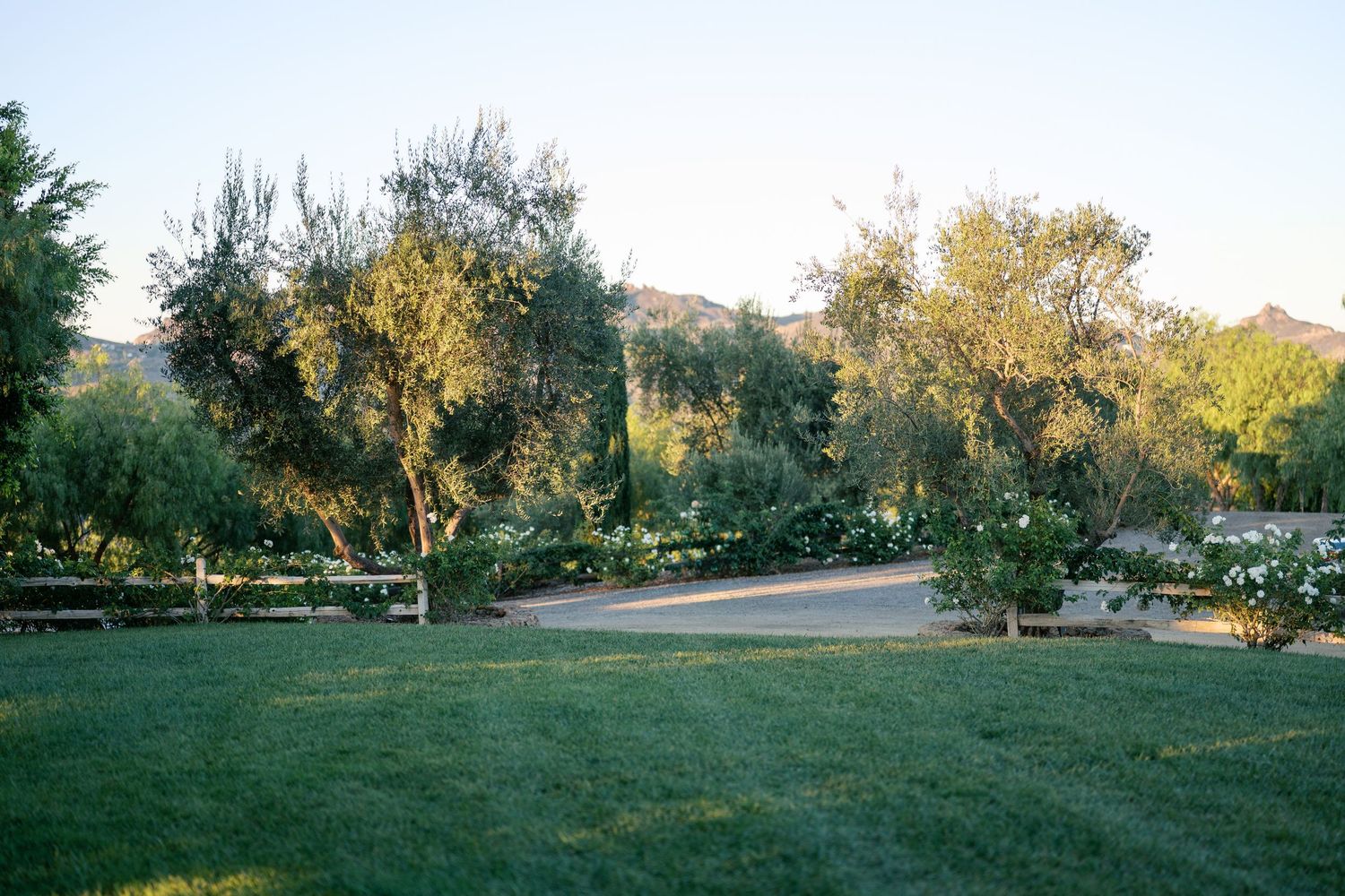 Rolling green hills with scattered trees and white fencing create a serene rural landscape at sunset.