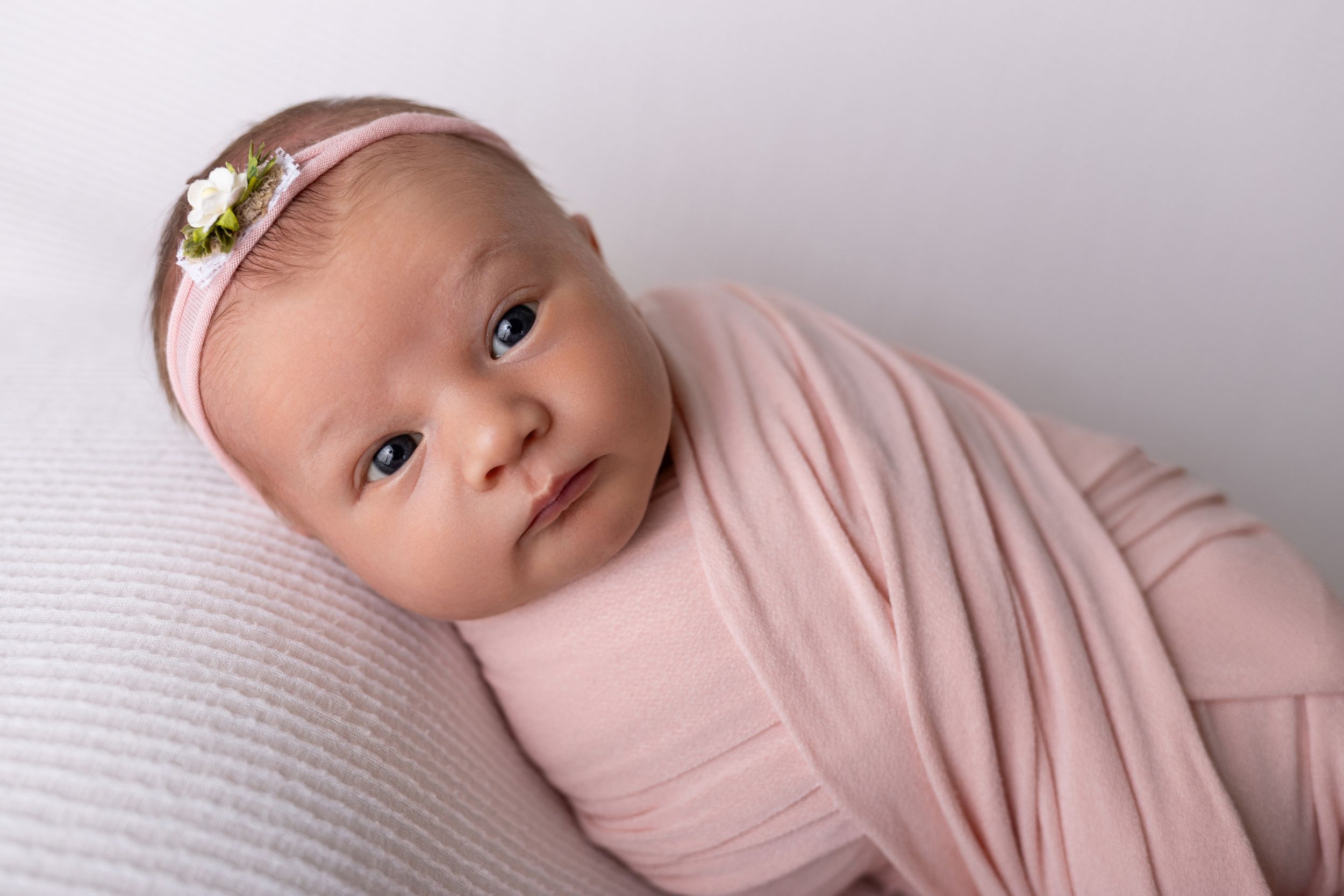 Swaddled infant in pink blanket with wide curious eyes looking at camera against light gray background.