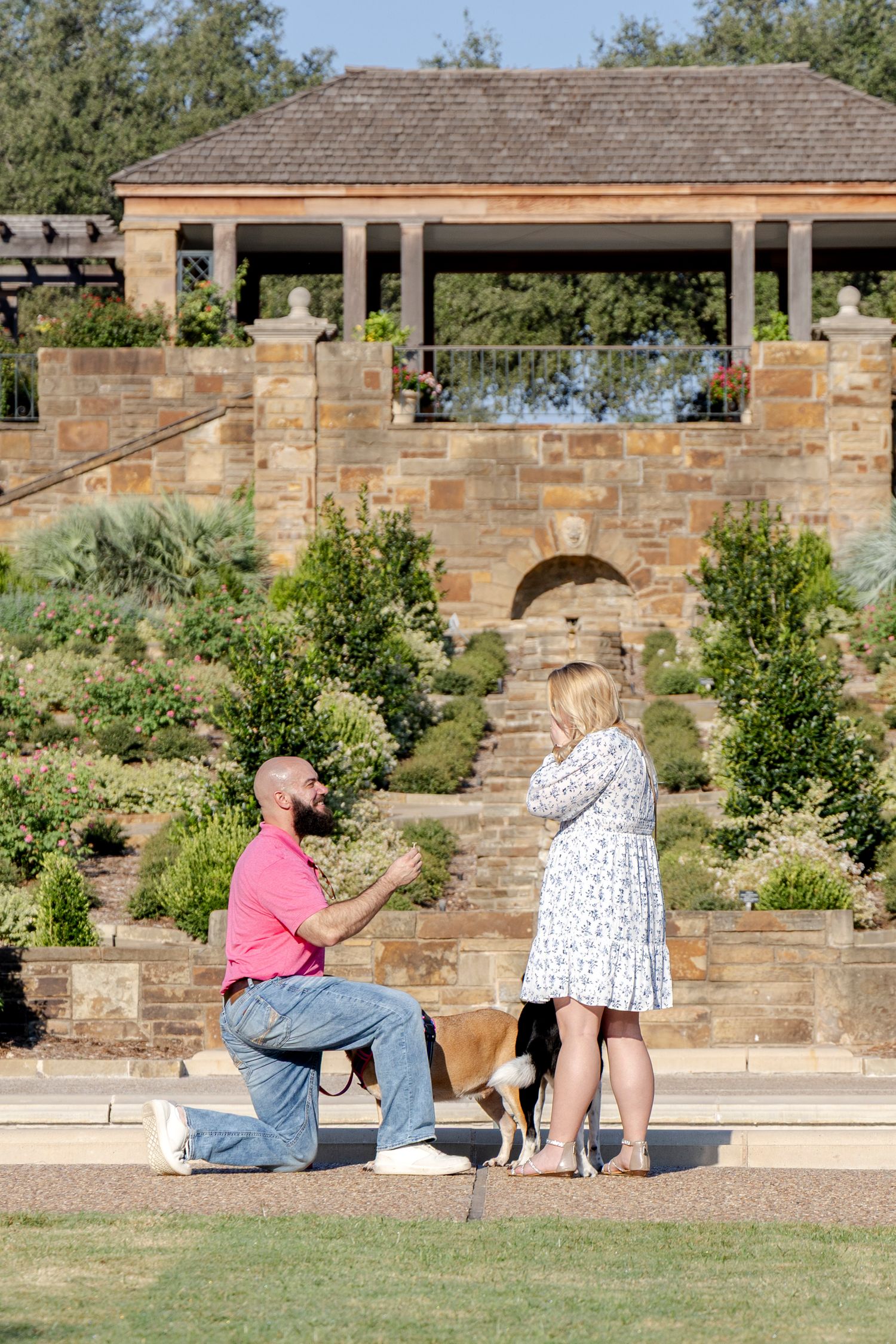 Emotional proposal photography session in Austin and  San Antonio