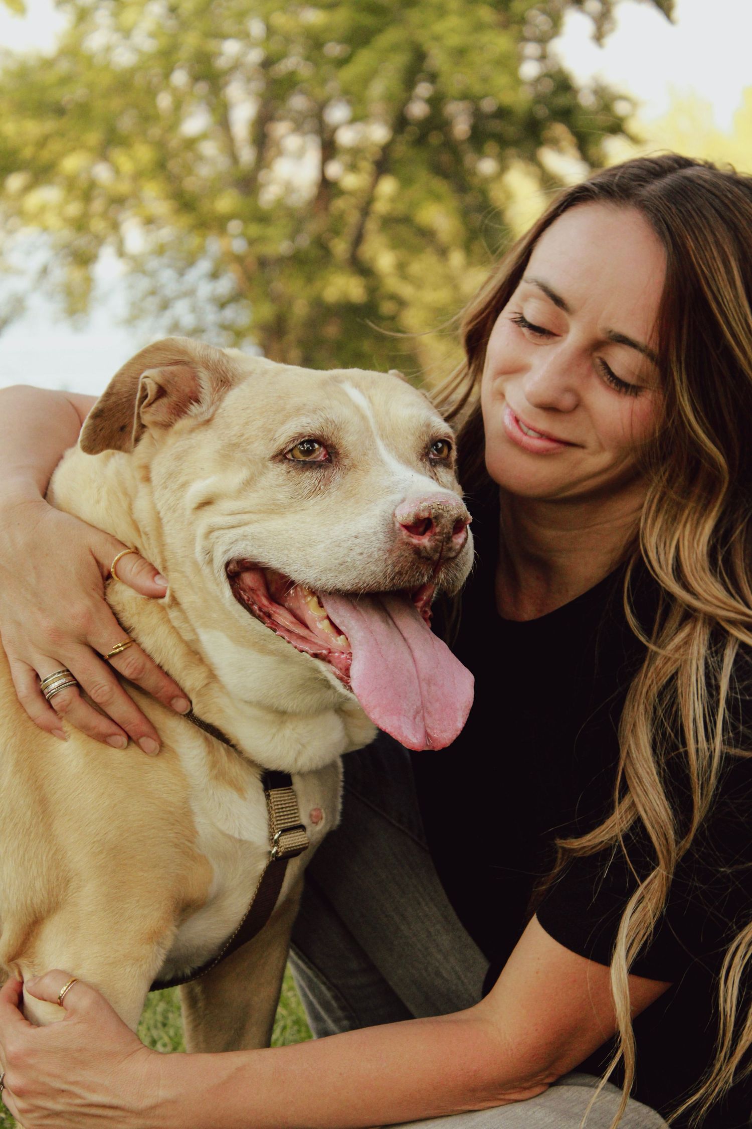 Playful yellow lab dog and companion share affectionate moments in a sunny park setting.