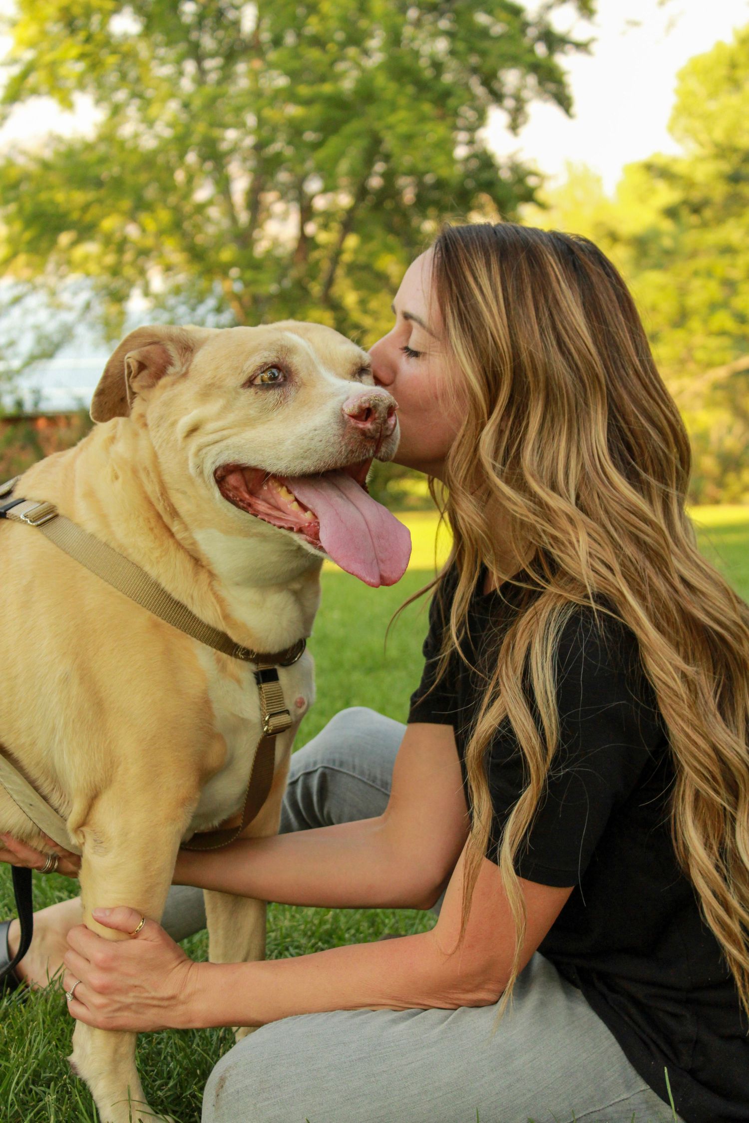 A touching moment between a person and their affectionate yellow Labrador dog giving kisses in a park setting.