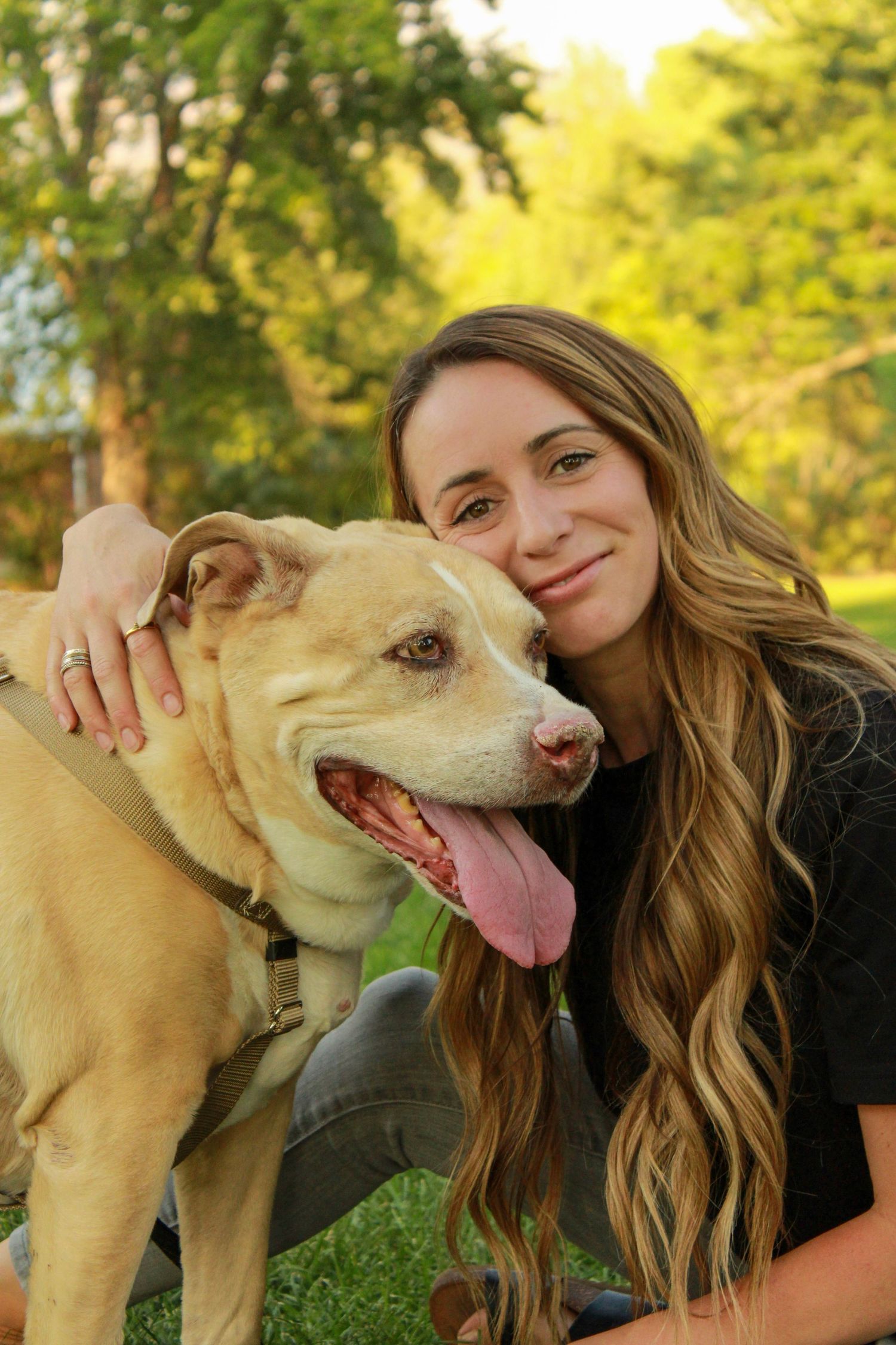 A happy light-colored pit bull mix dog smiles while being embraced outdoors on a sunny day.
