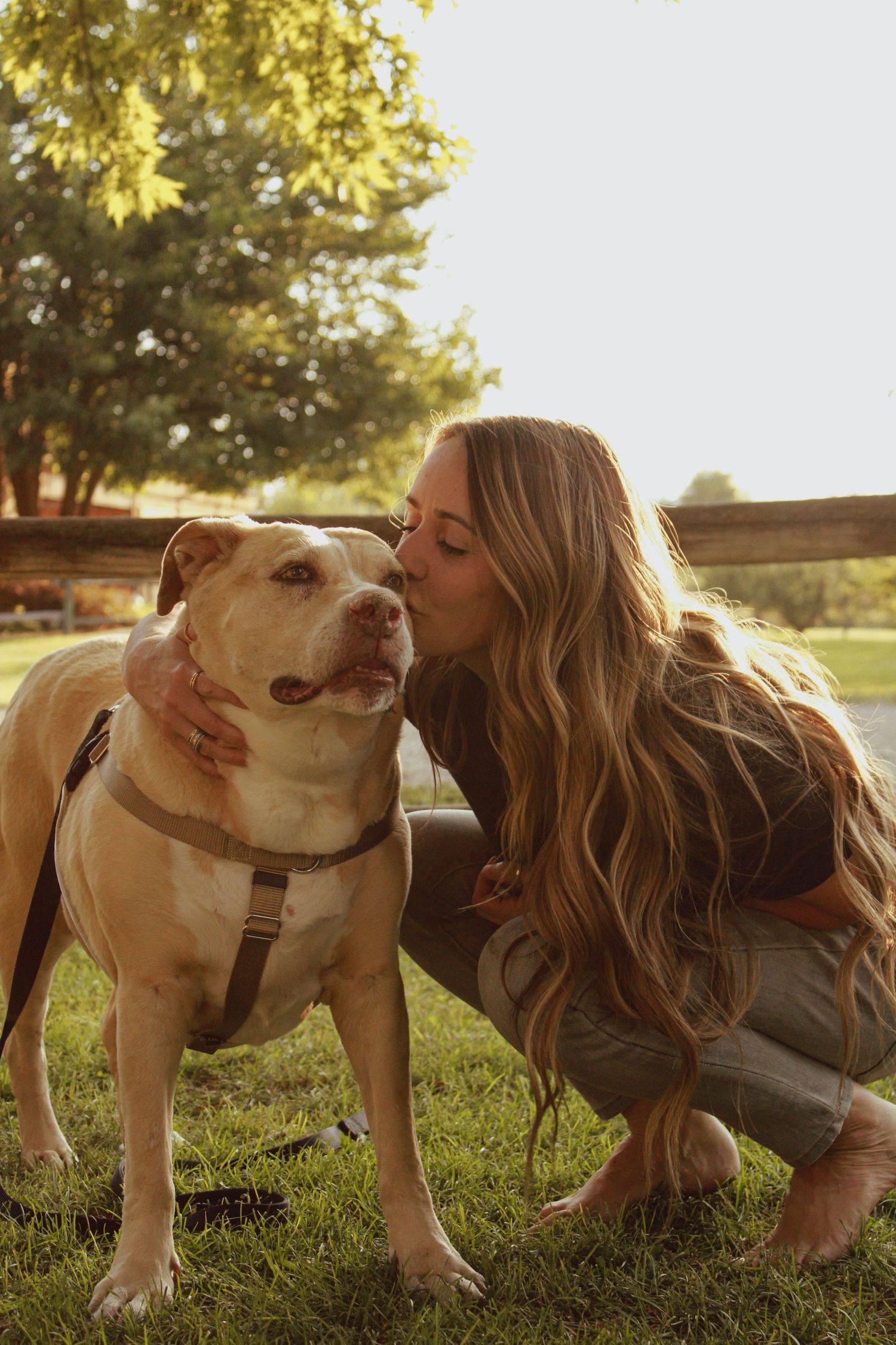 Sweet interaction between a light-colored bulldog and someone lying in grass during golden hour.