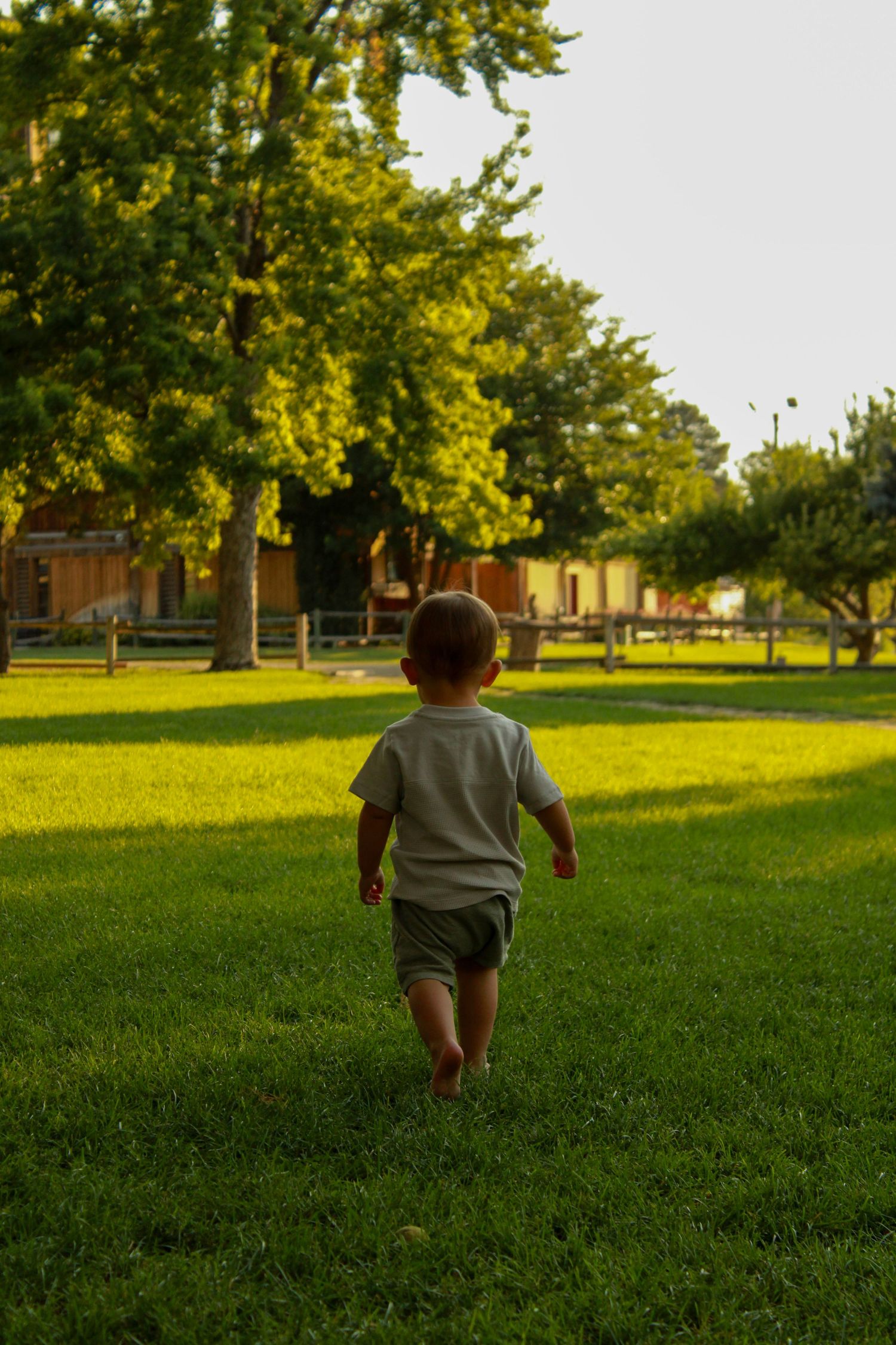 Small child runs across a green grassy field at sunset with trees in the background.