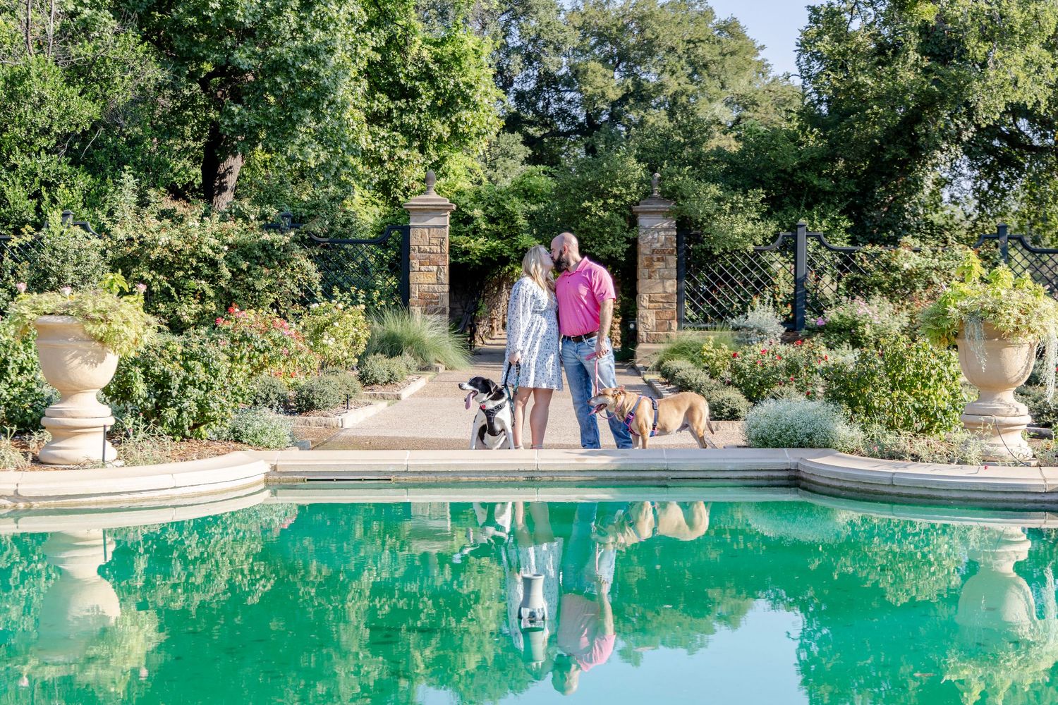 Surprise proposal at the Fort Worth Botanical Gardens rose garden