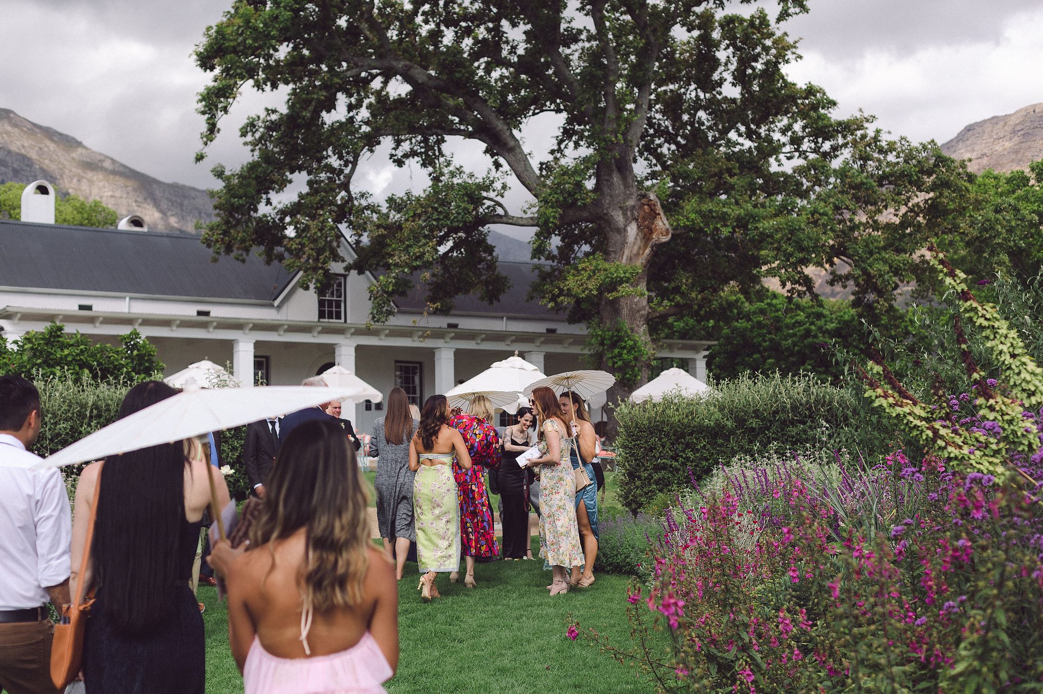 Wedding guests enjoying pre-drinks in the gardens at La Cotte, Cape Winelands