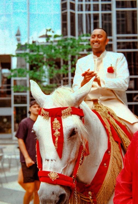 A white horse wearing ornate red and gold wedding attire baraat Indian wedding in pittsburgh on film photography.