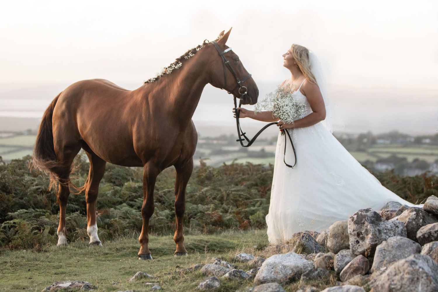 A series of brown and white horses standing on rocky terrain at sunset.