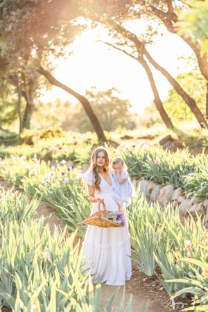 Beautiful garden path lined with iris flowers during golden hour.