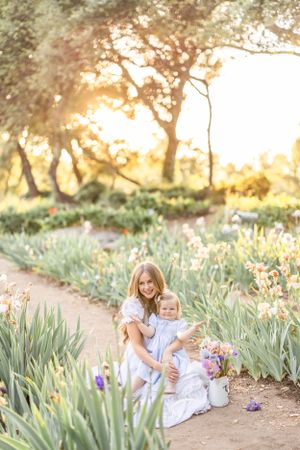 Garden path lined with blooming iris flowers during sunset.