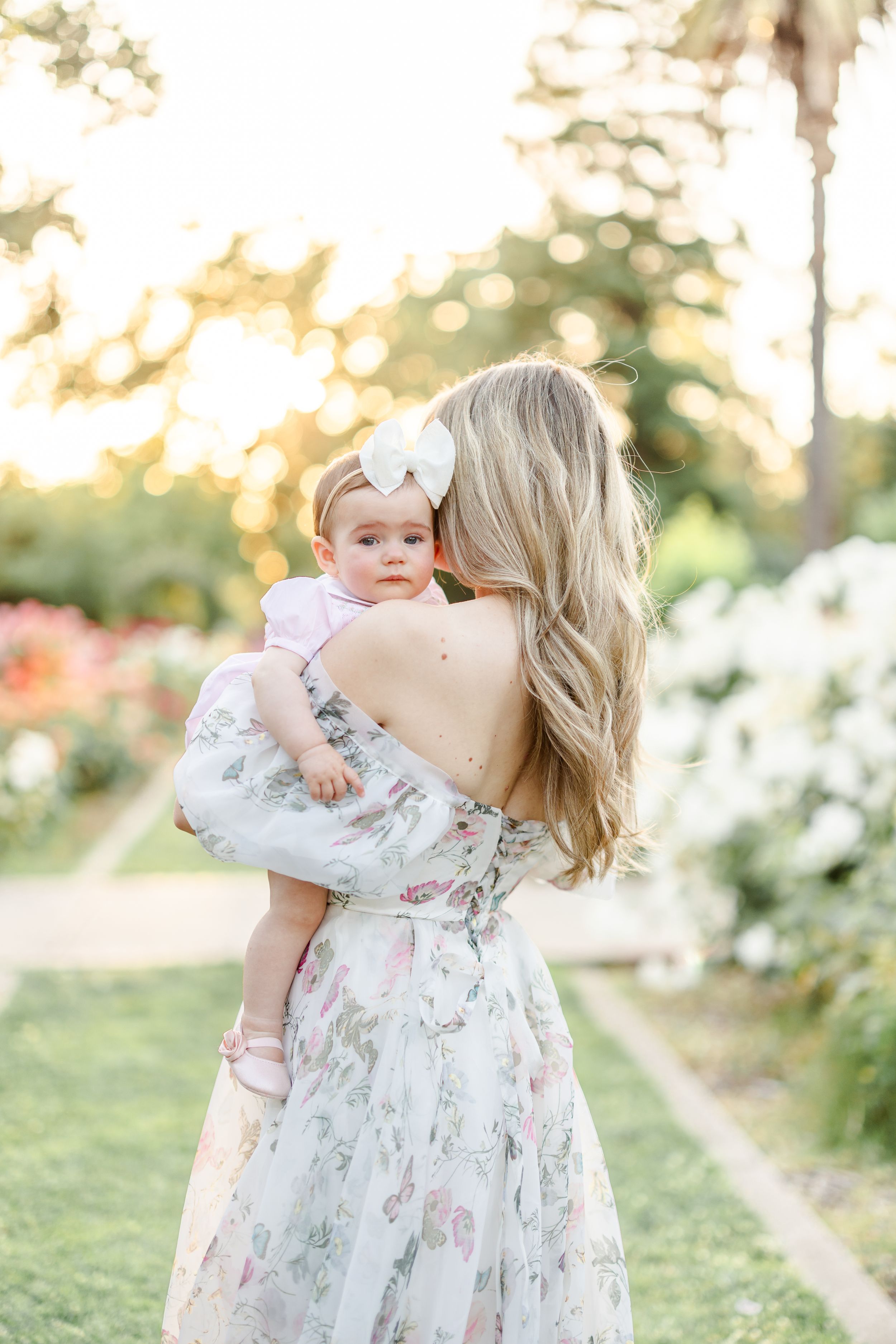 Floral garden setting with soft natural lighting and white flowers in bloom.