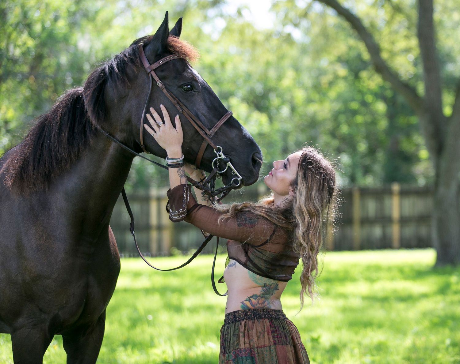 Majestic outdoor horse portrait captured in natural light — equine photography by a Bradenton-Sarasota professional photographer