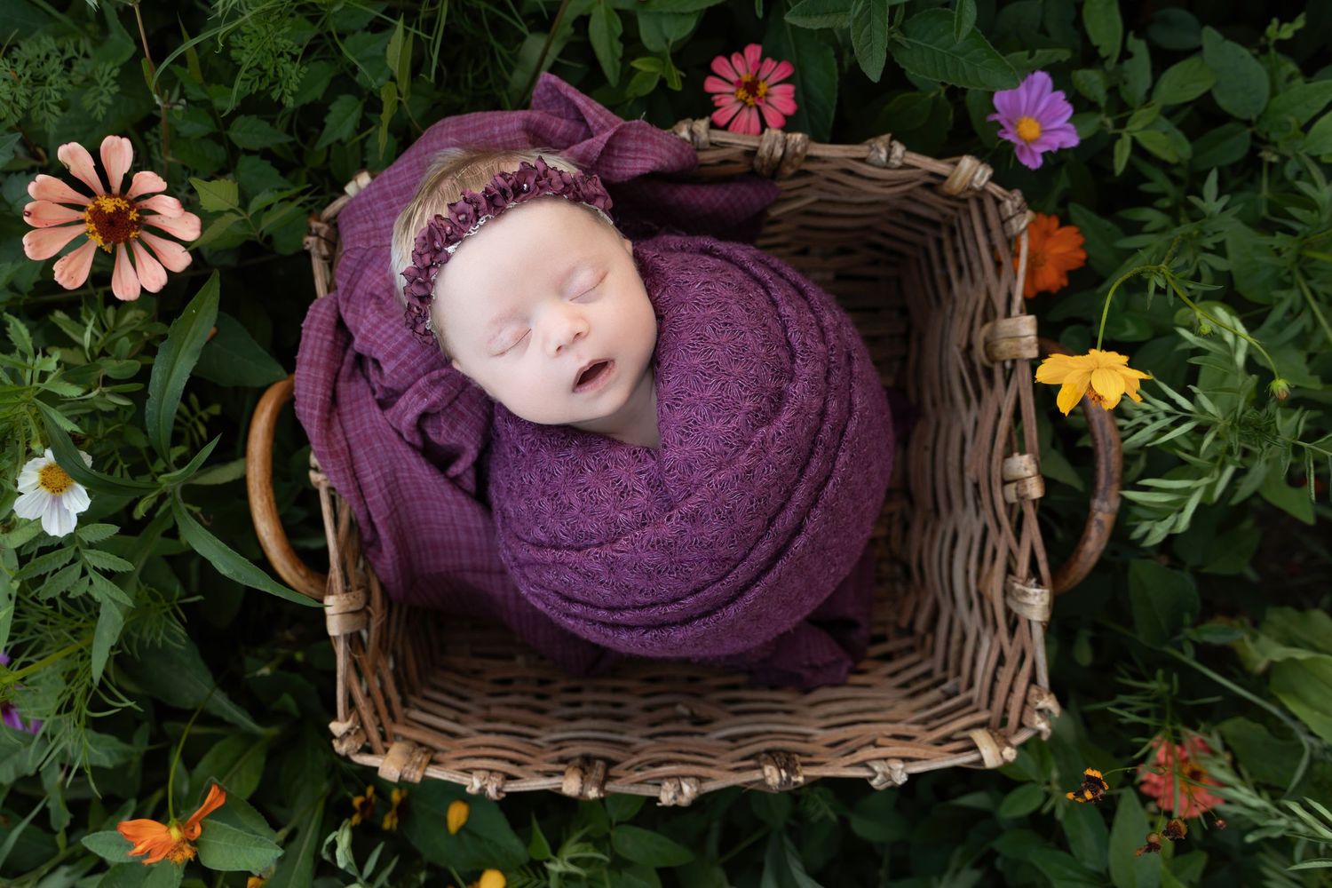 Newborn Photographer
Cake Smash Photographer
Maternity Photographer
Kentucky Photographer
Richmond Kentucky 
Berea kentucky
Lexington KY