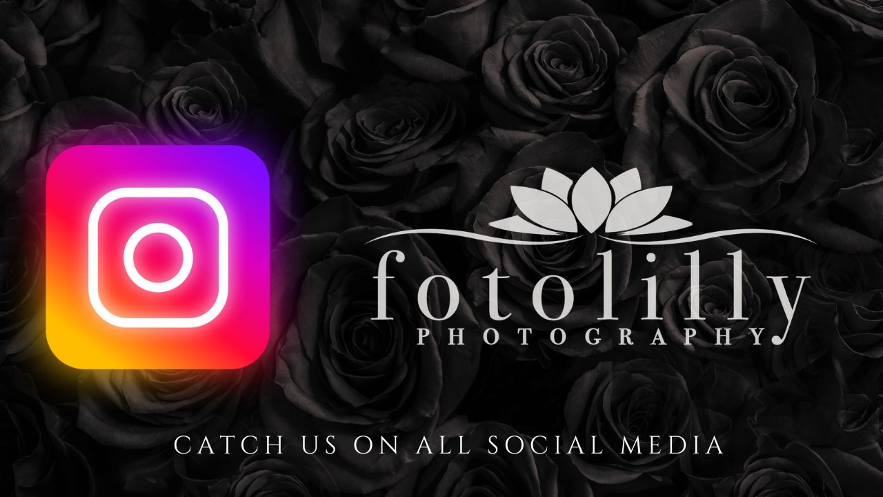 fotolilly photography on all social media apps sharing who we are dallas fort worth quinceanera experts quince photography DFW Quince Photos