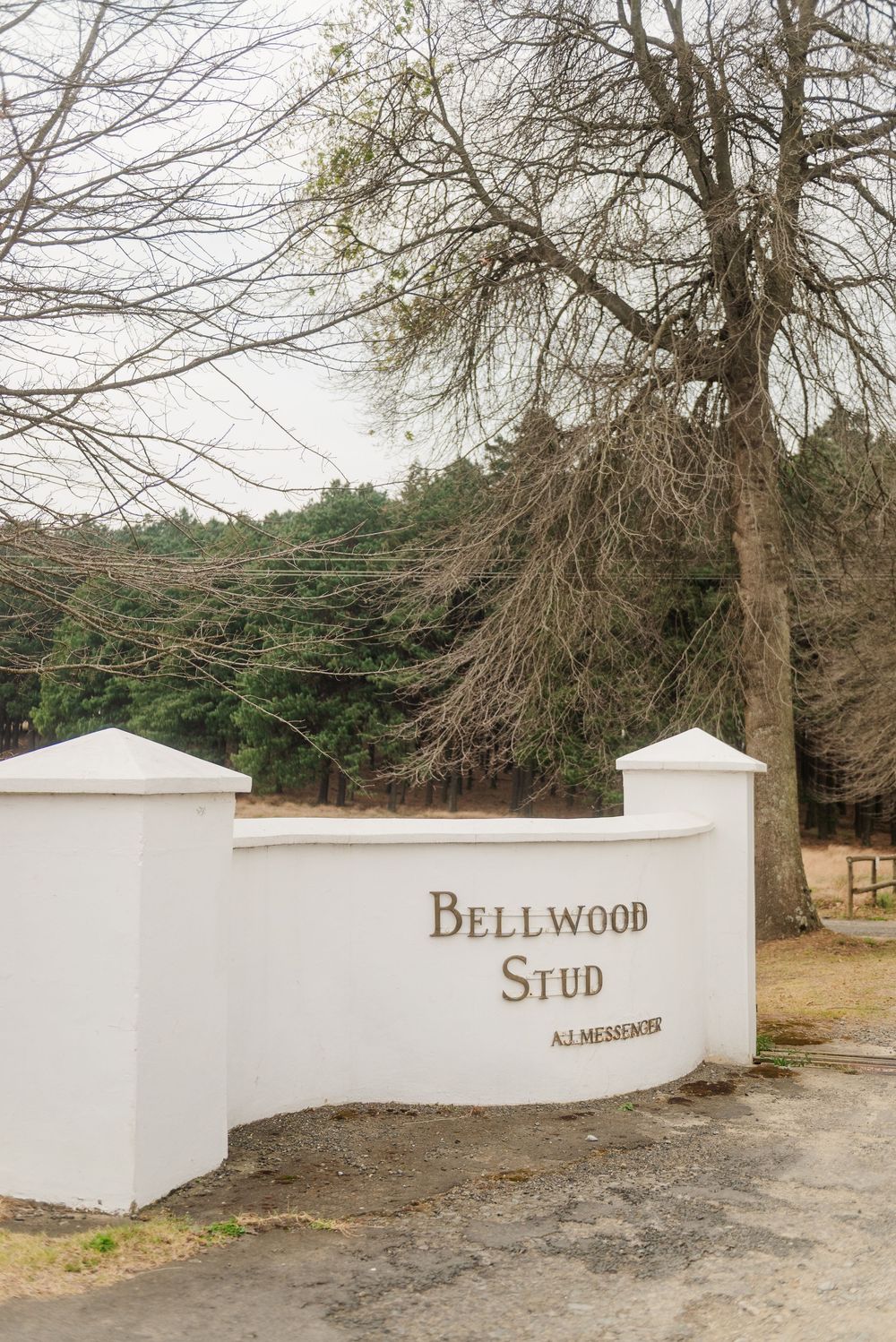 KZN midlands wedding photographer