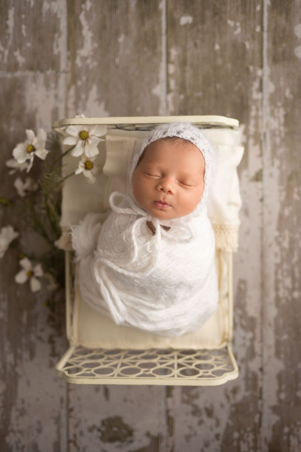 Baby girl in cream bed on wood floor, taken by Jen Knightstep, Photographer