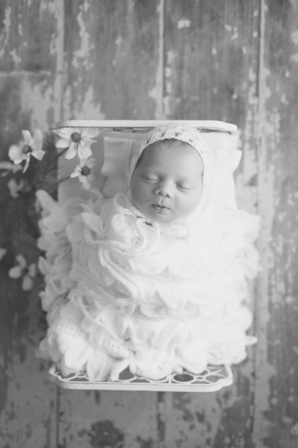 Baby girl in cream bed on wood floor, taken by Jen Knightstep, Photographer