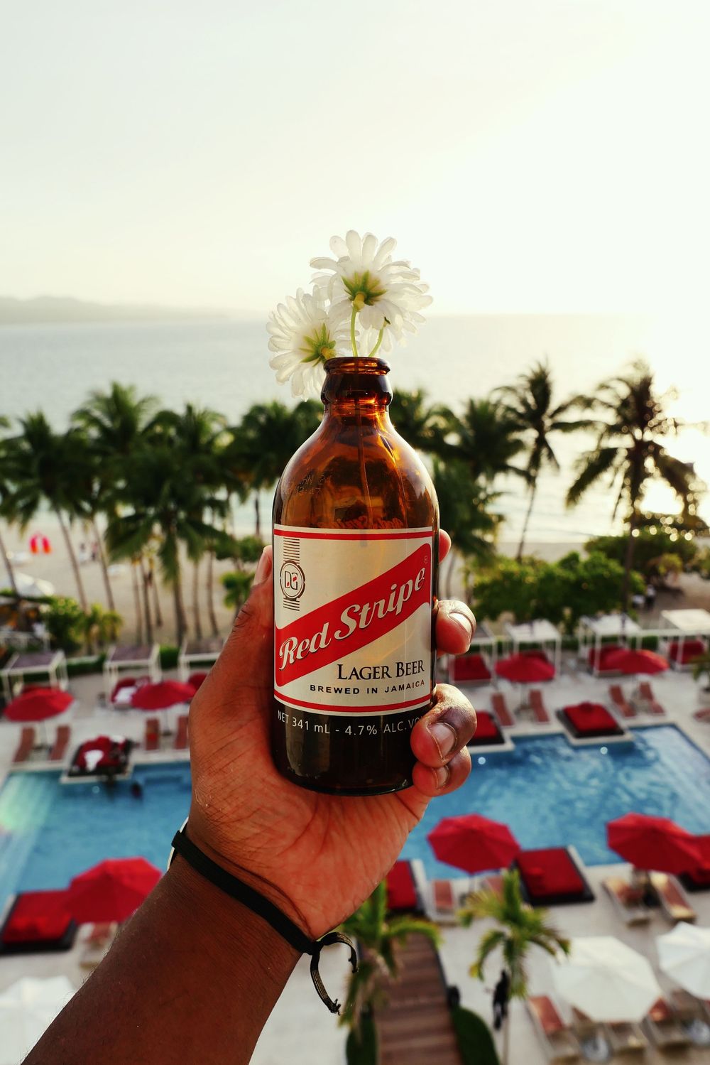 Beer bottle held against tropical resort pool with red lounge chairs and palm trees at sunset.
