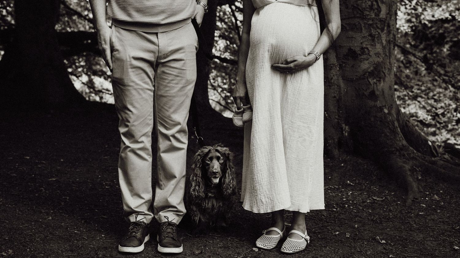 Lifestyle maternity photo of mum-to-be, dad and a dog in Scottish woodland by fife maternity photographer